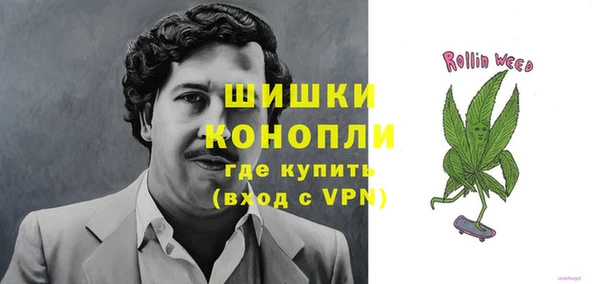 mix Богородск