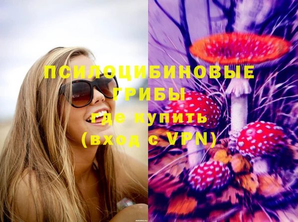 mix Богородск