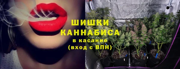 гашиш Богданович