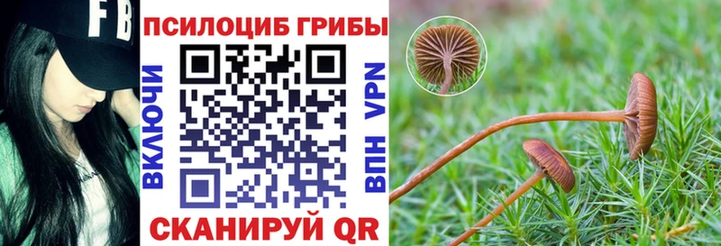 дарк нет клад  Бугульма  Псилоцибиновые грибы GOLDEN TEACHER  даркнет сайт 